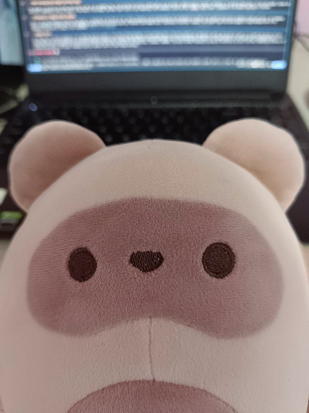 plushie of soup, a siamese cat probably